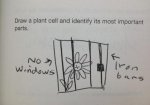 2-funny-answers-plant-cell-768x534.jpg